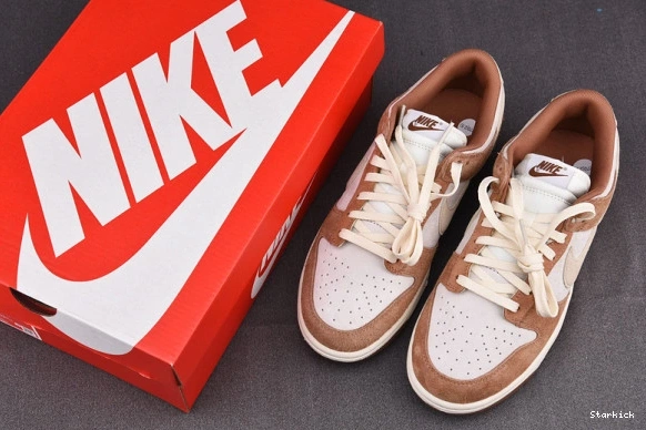 Curry Low Medium Dunk DD1390-100 Nike 0304